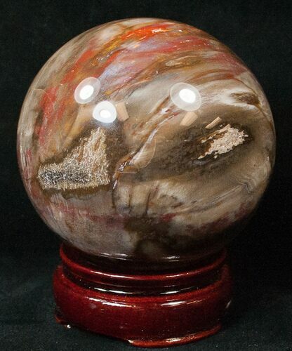 Colorful Petrified Wood Sphere #17878